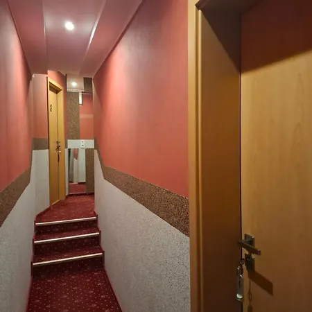 Waldblick Mit Großem Parkplatz