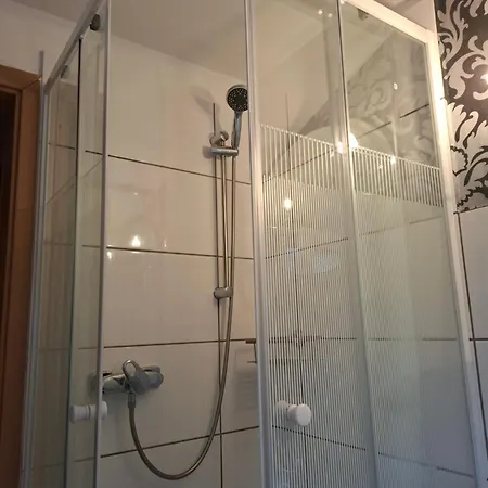 Waldblick Mit Großem Parkplatz