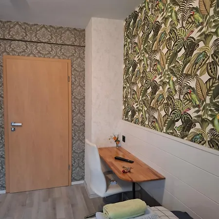 Waldblick Mit Großem Parkplatz