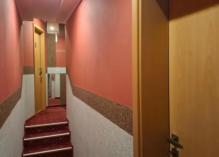 Waldblick Mit Grossem Parkplatz