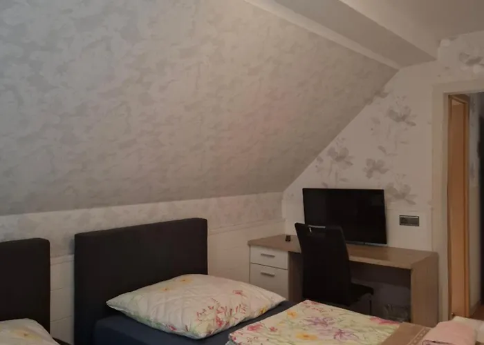 Waldblick Mit Grossem Parkplatz